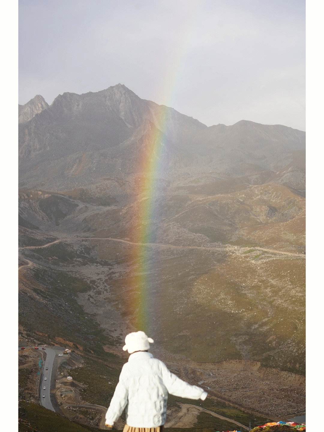 世俱杯赛程-彩虹队丢失领先优势,最终被半山大树逆转获胜