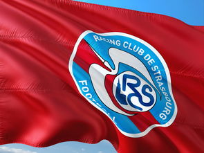 世俱杯奖金-帕尔梅拉斯赛前体能检测通过,争冠筹备顺利