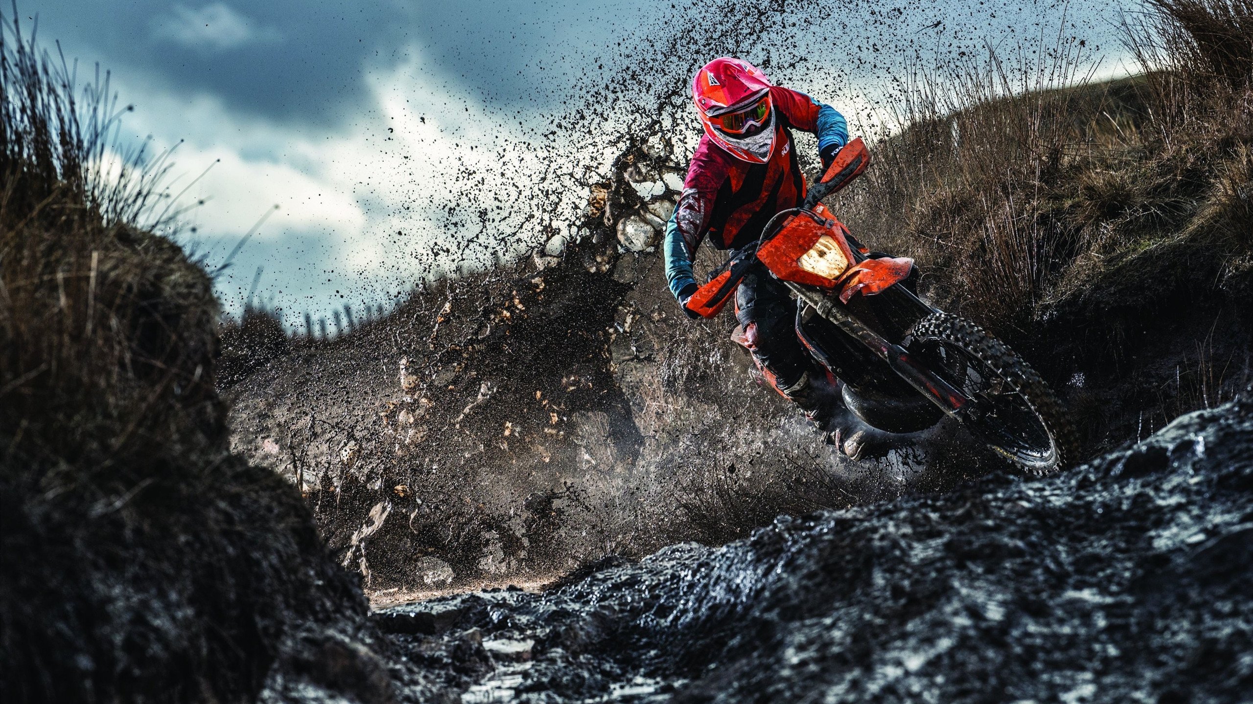 燃烧的默契,当德国战车遇上藏獒之吼